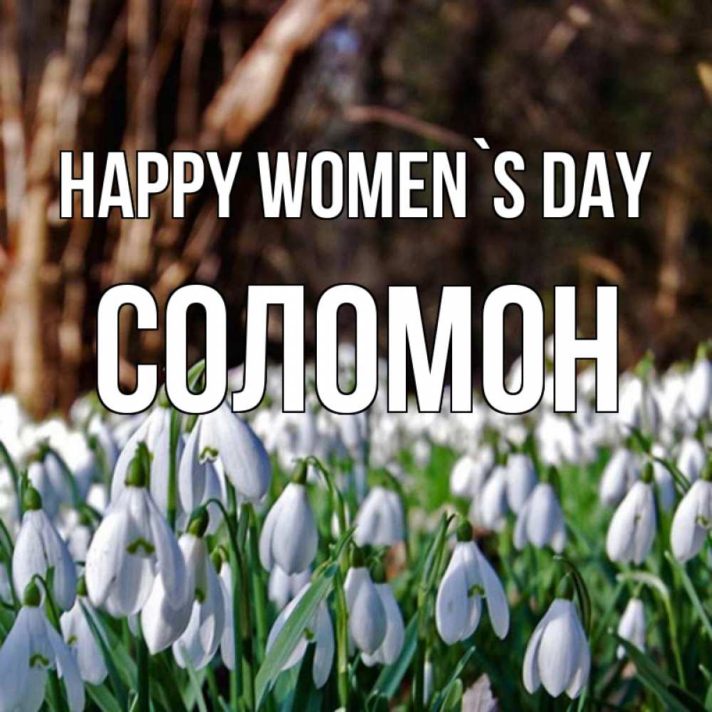 Greetings card с именем, Соломон happy women`s day с подснежниками 1 Greetings with text for free download 